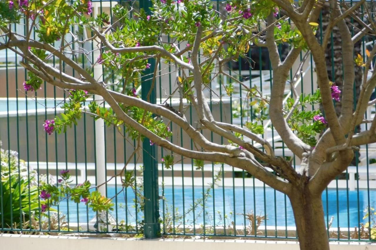 "T2 "Antibes Les Pins 3" Air Conditionned Sea View With Parking And Pool" Apartment Ngoại thất bức ảnh